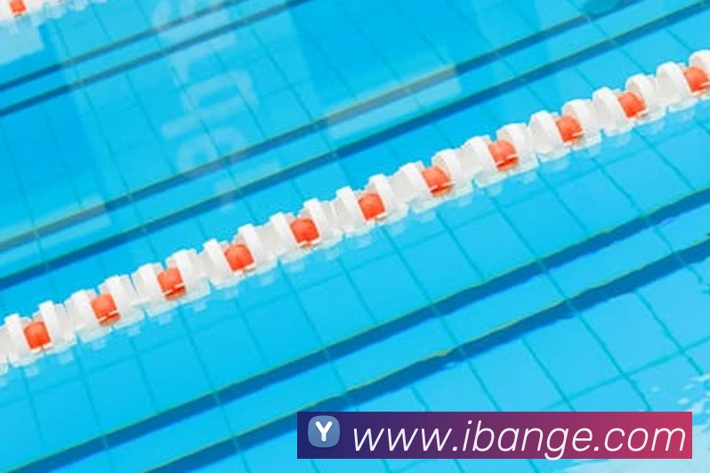 世界杯官网登录app服务体系